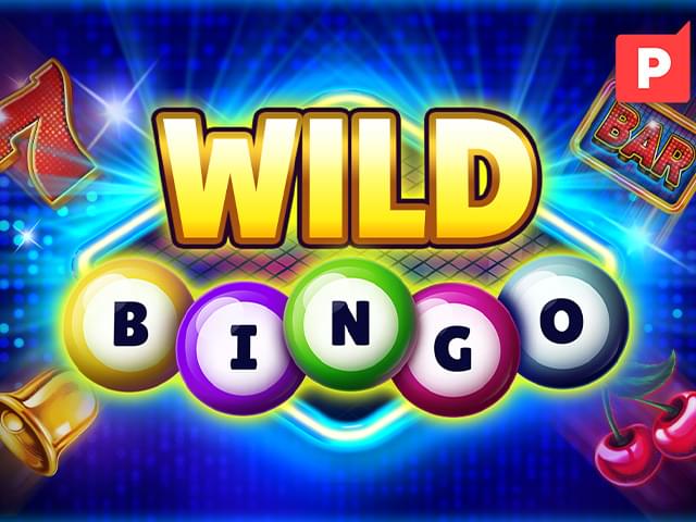 888games Bingo Selvagem